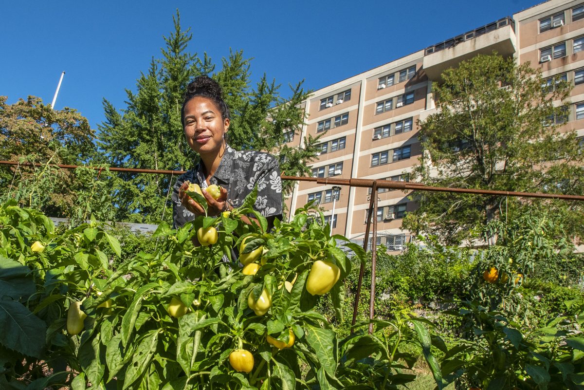 Chloe Murphy working at the Cottage Street Community Garden in New London Connecticut on Sept. 10, 2021.